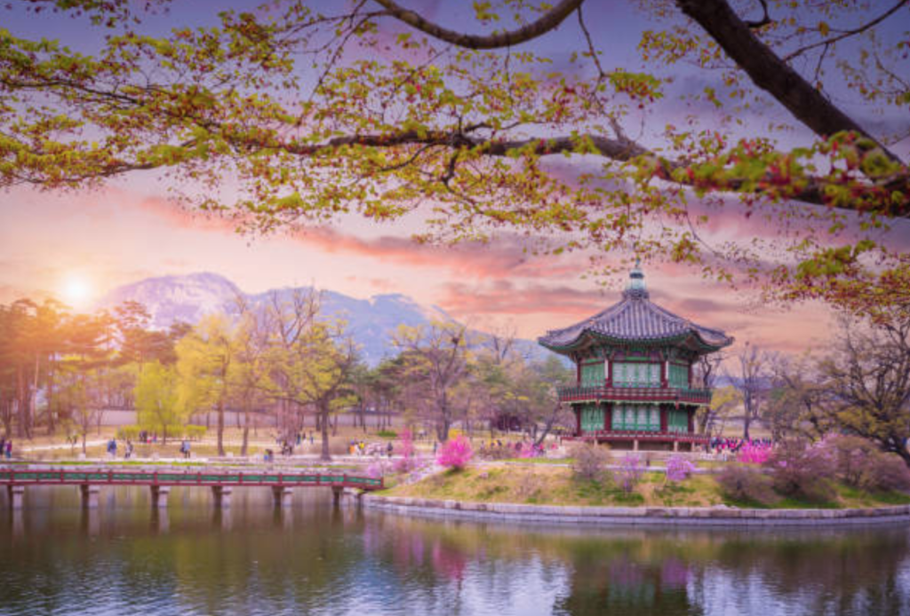 A scenic view of Seoul and surrounding mountains during a day tour
